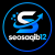 seosaqib12