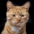 petabyte