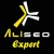 AliSEOExpert
