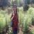 rashmisharma