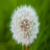 coinshub1