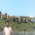 amitjha