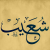 shoaib1