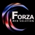 Forza91
