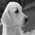 Vimlesh7011