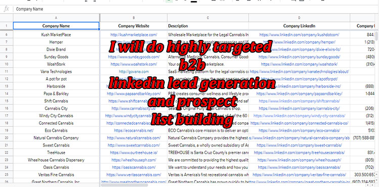 I will do linkedin lead generation and build email li...