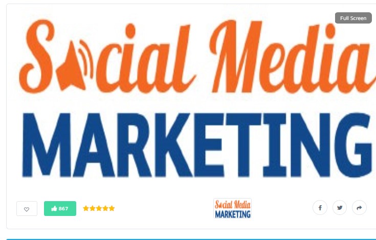 instant start 500 like or 1000 video promotion