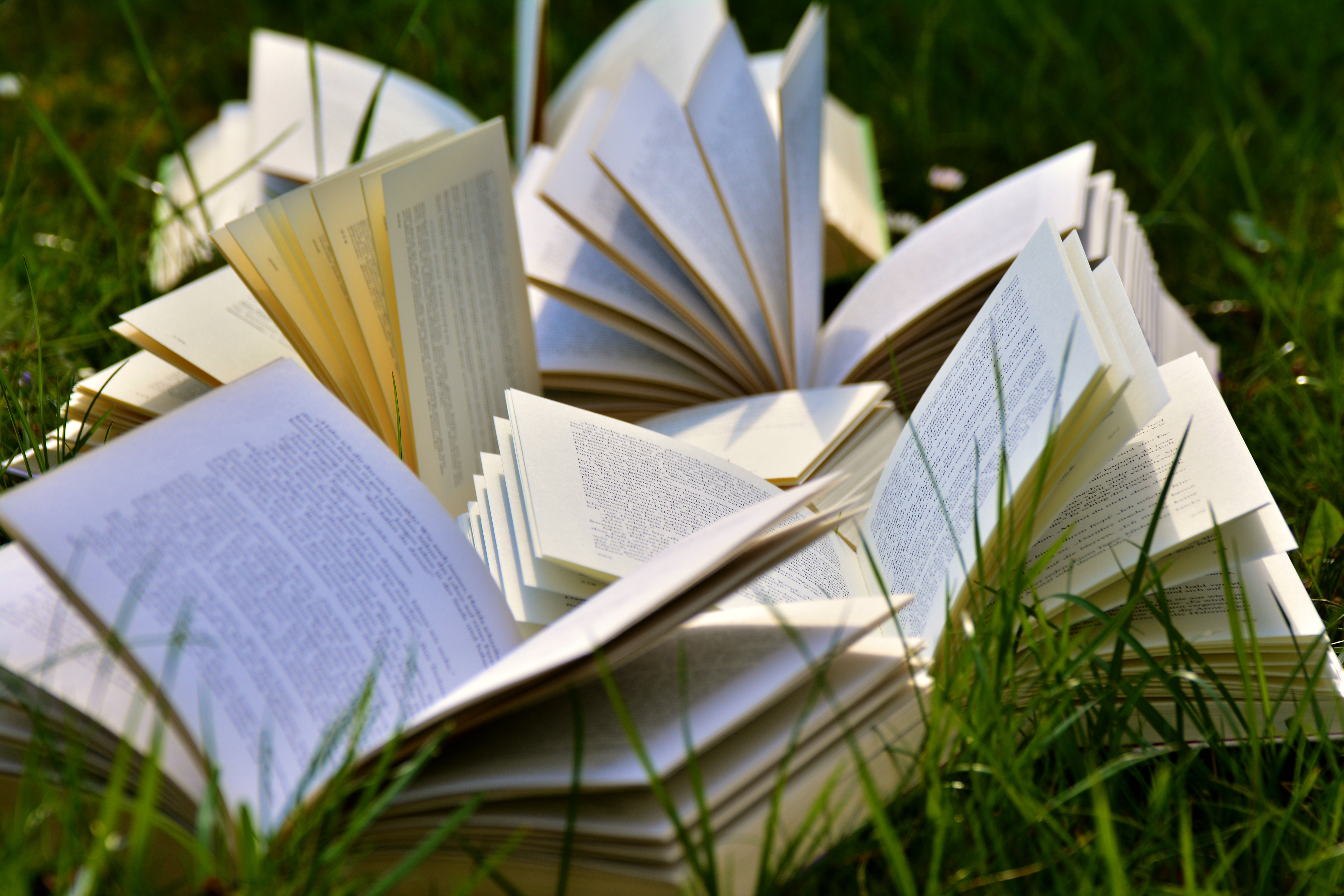Write 1000 words unique content article