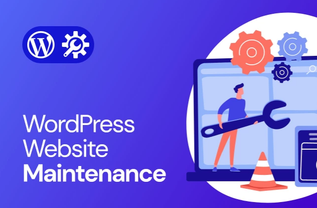 WordPress Maintenance in 24 Hours - Premium Support G...