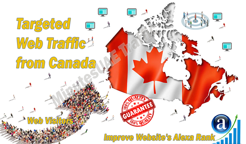 Canadian web visitors real targeted Organic web traff...