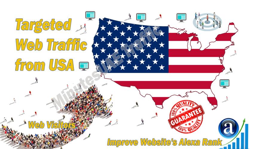 American web visitors real targeted Organic web traff...