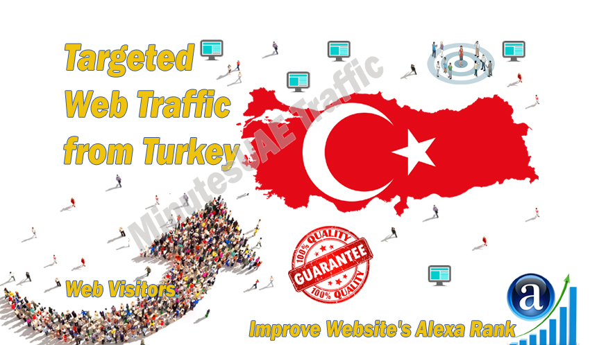 Turkish web visitors real targeted Organic web traffi...