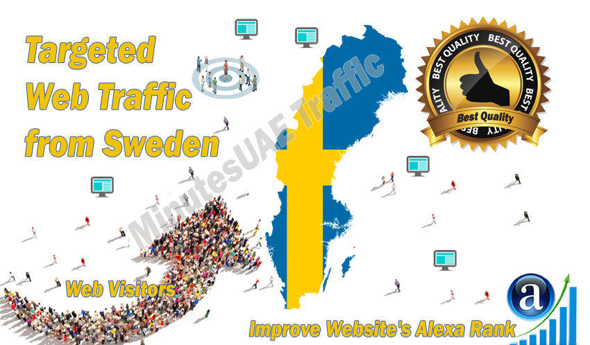 Swedish web visitors real targeted Organic web traffi...