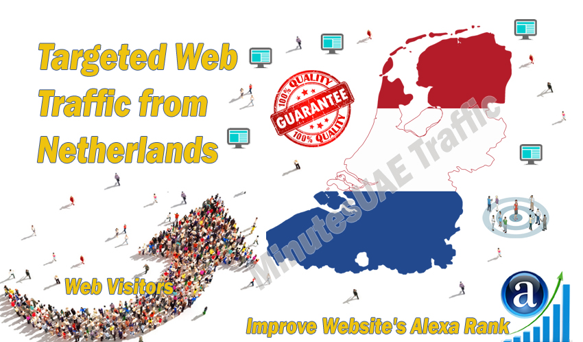 Dutch web visitors real targeted Organic web traffic ...