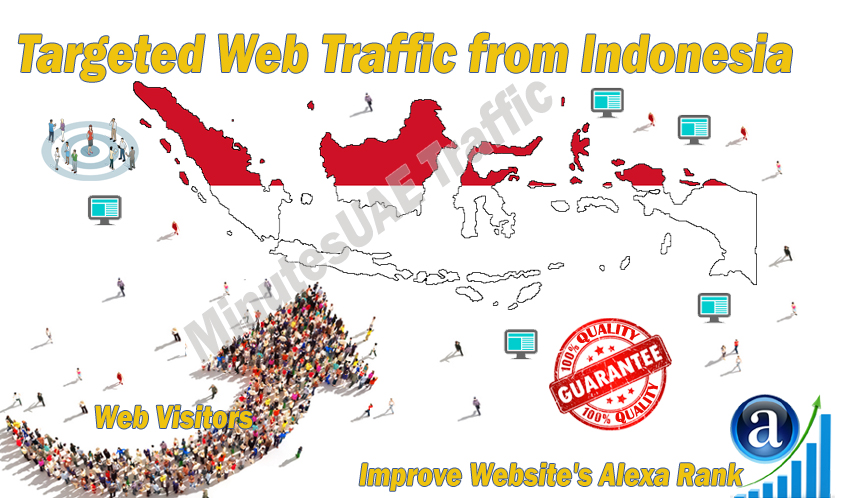 Indonesian web visitors real targeted Organic web tra...