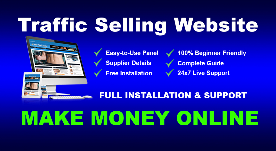 Website Traffic And Seo Service Selling Business Temp...
