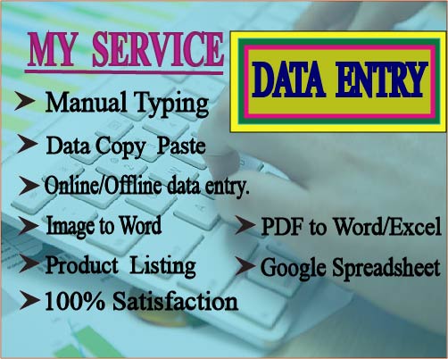 I will do data entry, Manual typing, Copy Paste, I...