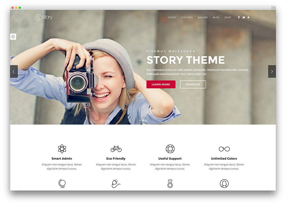 wordpress website design woocommerce, magazine, lan...
