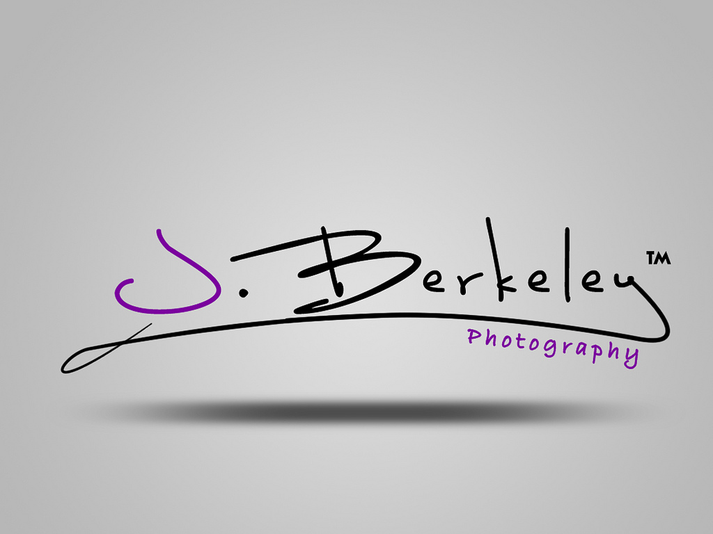 Design professional and Modern Signature logo