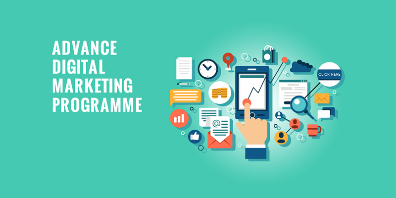 The Complete Digital Marketing Course 993GB