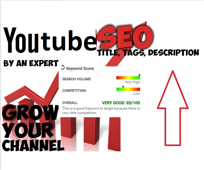 will do youtube SEO of your video, write title descr...