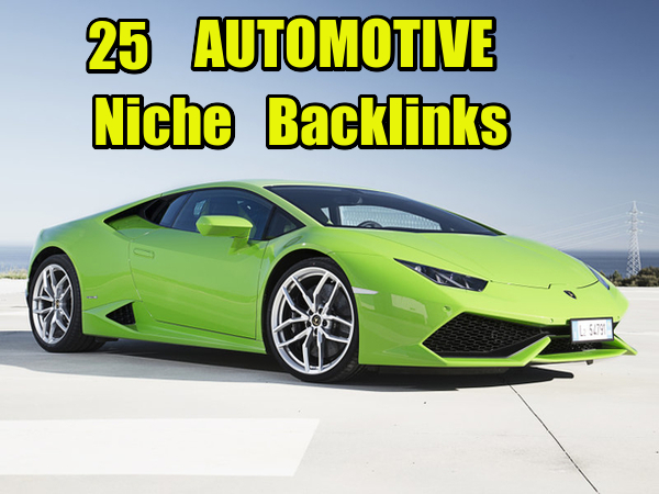 25 AUTOMOTIVE Niche Relevant Profile Permanent Backli...