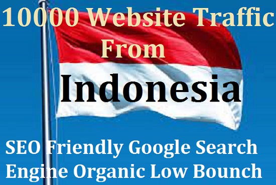 Daily 200-300 Visitors From Indonesia 30 Days SEO Goo...