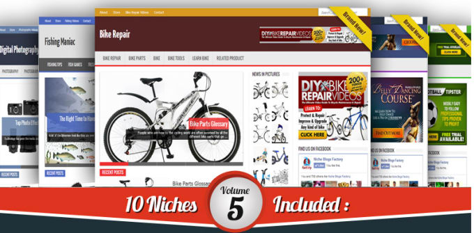 I will provide 18 blogs niche wordpress website click...