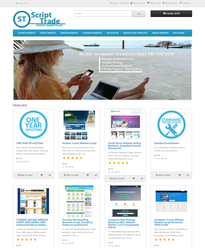 I Will Give You Turnkey Websites Selling Business Scr...