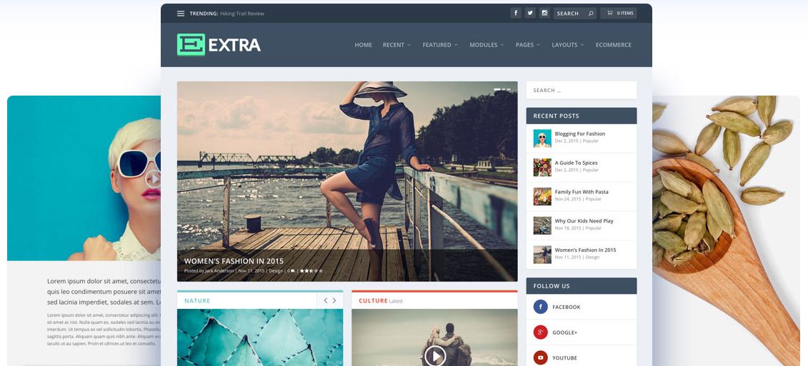 I Will Configure And Setup Any WordPress Theme With P...