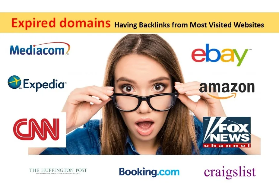 I will find expired domains with backlinks from big w...