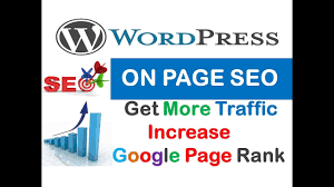 I will provide on page SEO for complete your wordpres...