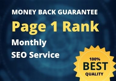 provide monthly SEO service to rank website on top of...