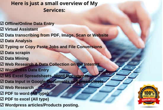 I will do Fast and Accurate Online, Offline Data Ent...