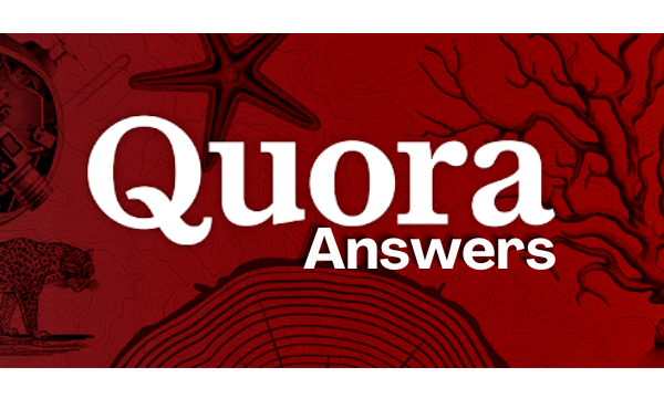 Promote Your website 10 Unique Quora Answers with you...