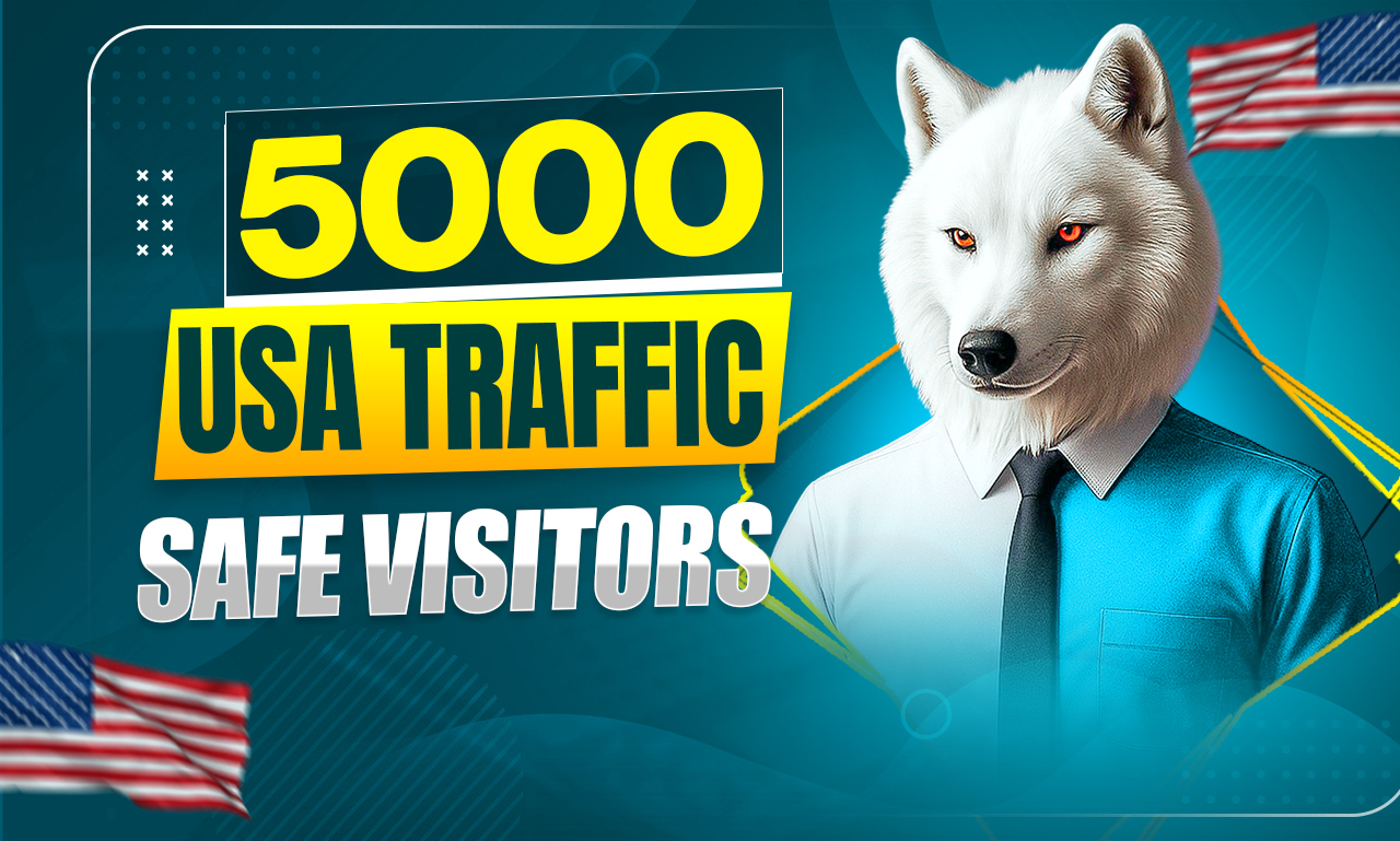Send 5000 Traffic From USA To Your Website Safe Visit...