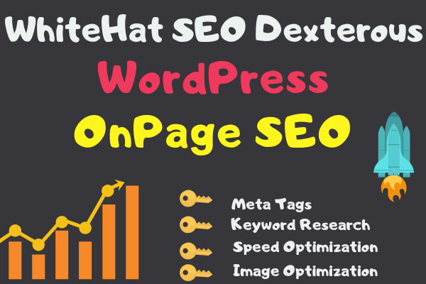 On Page SEO V3.0 Rank your website with better SEO up...