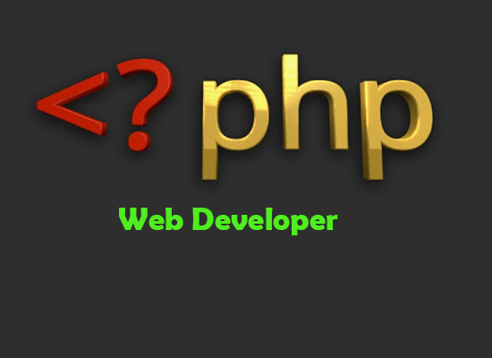 Expert php programmer - do anything on your php scrip...