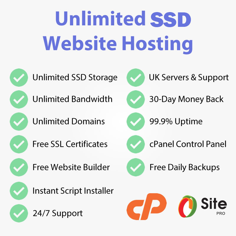 MEGA SALE - LITE SPEED SSD, SEO Web hosting for 1 Ye...