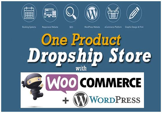 Build Wordpress Ecommerce Website Or Dropshipping Sto...