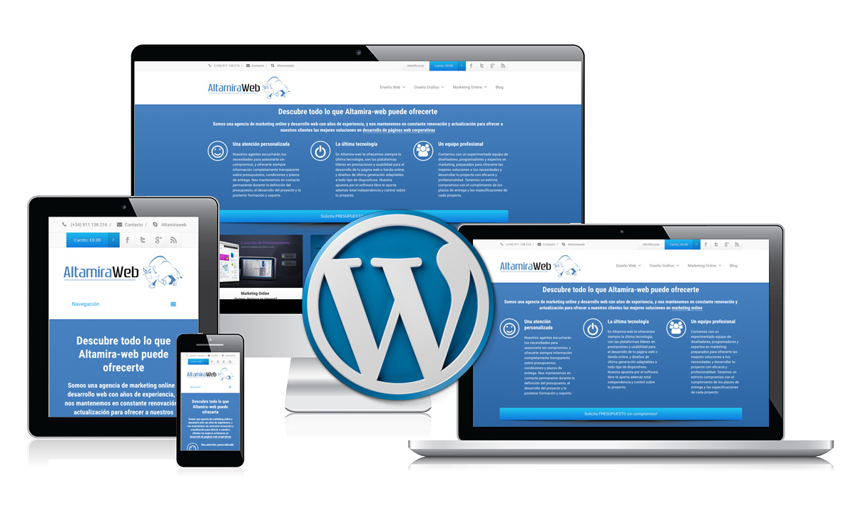 I will design professional website.