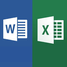 I can do convert any types of image to excel or word ...