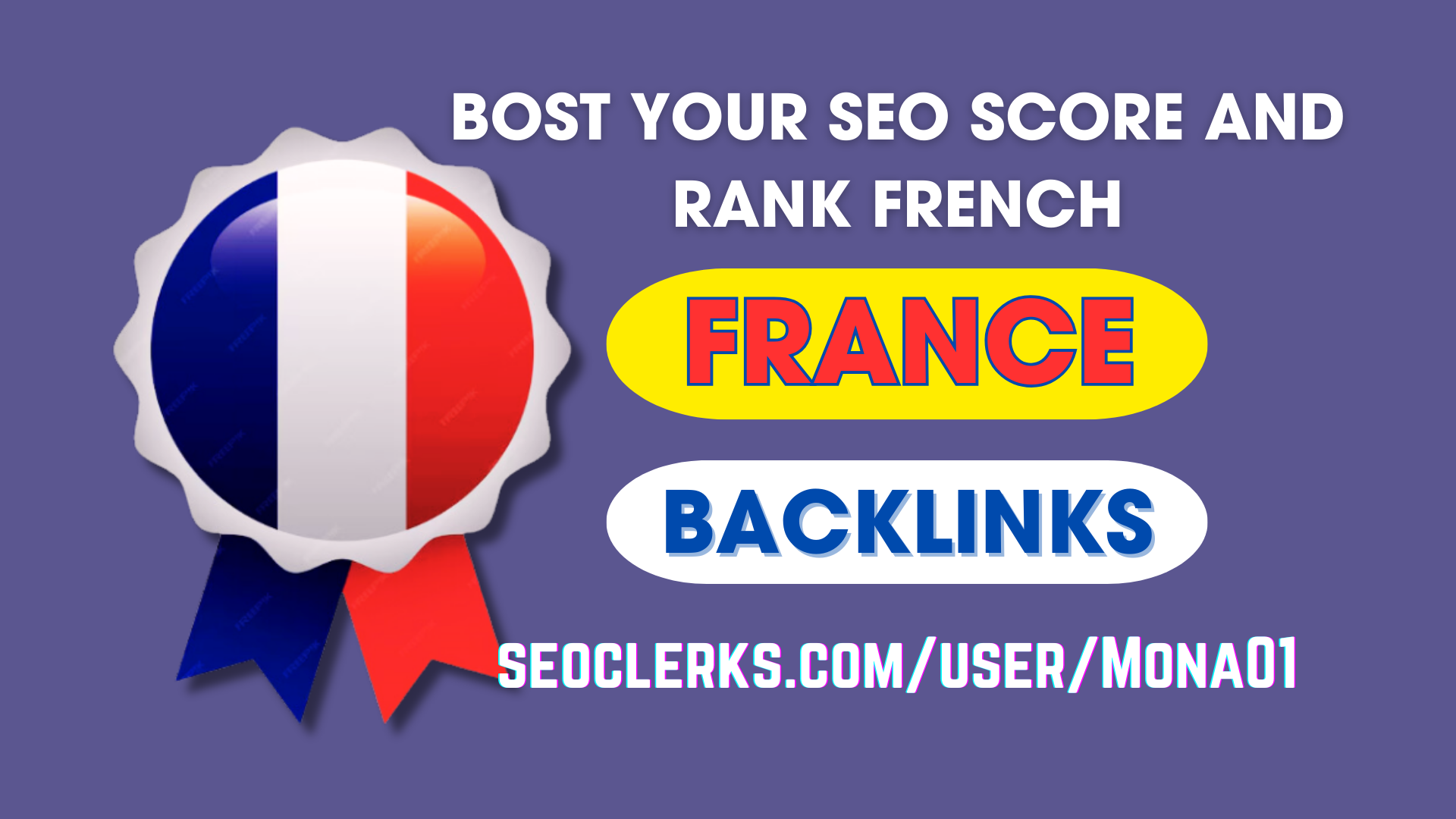 I will do 20+ france link building with french SEO da...