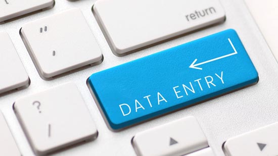 Any type of type writing data entry for your project ...