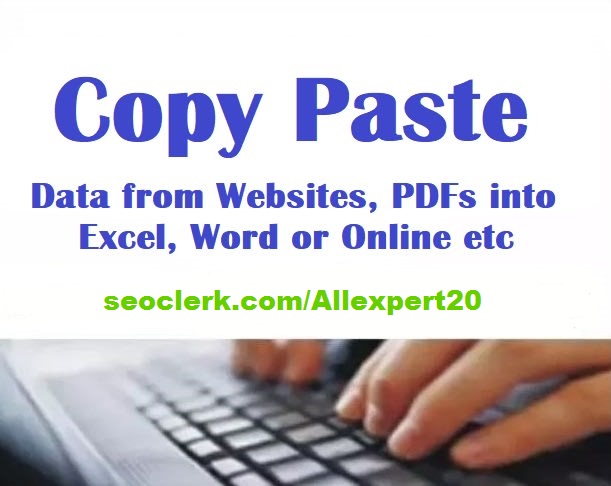 I will do excel data entry, typing, data entry, co...