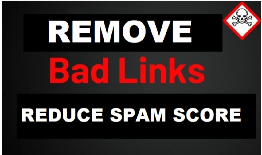 I will Remove bad Spammy Backlinks and reduce Website...