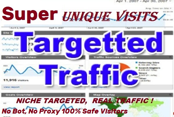 I'll drive 40.000 to 60.000 + real human Visitors + B...
