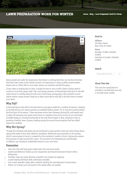 Geat a 1500 word blog on any topic by a Pro