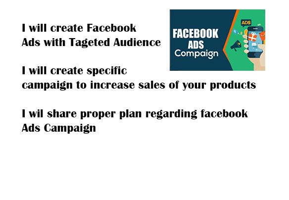 I will create facebook ads with targeted Audience to ...