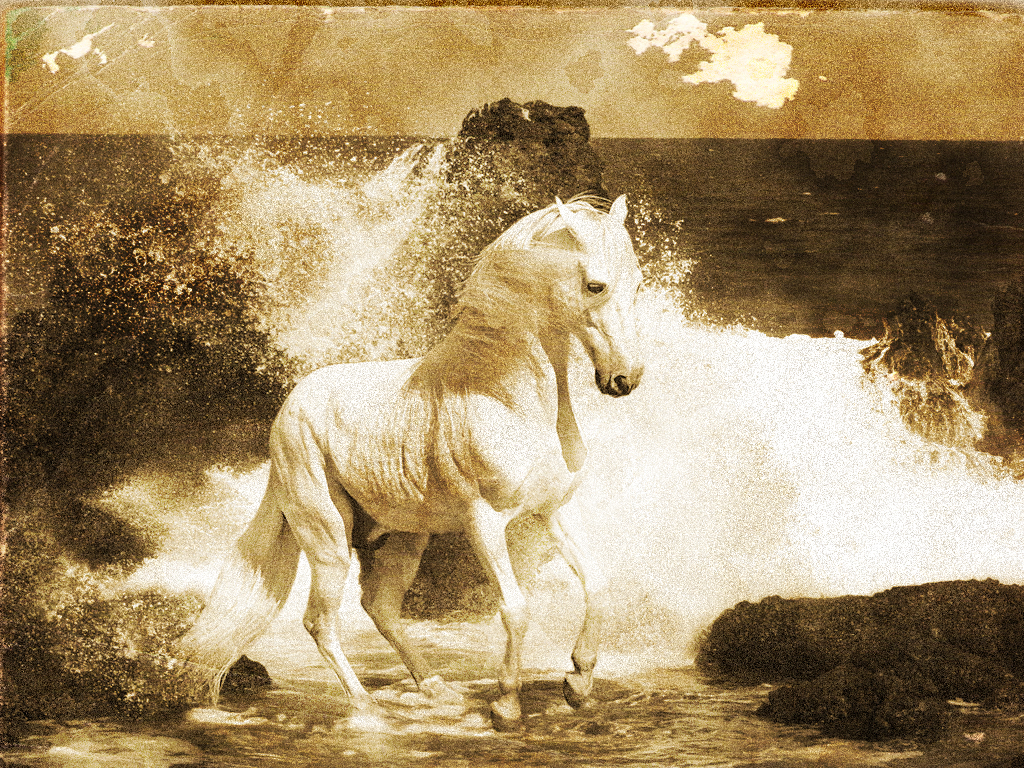 I can age your photographs to black and white or sepi...